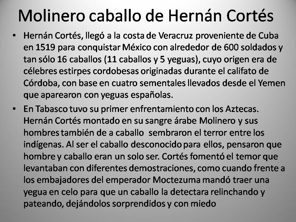Molinero Caballo de Hernán Cortés.