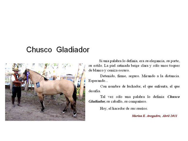 CHUSCO EL GLADIADOR