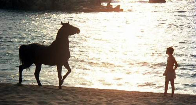 El Corcel Negro (el caballo negro) y Alec en la isla desierta