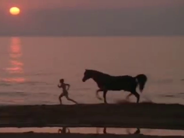 The Black Stallion (el caballo negro) y Alec en la isla desierta