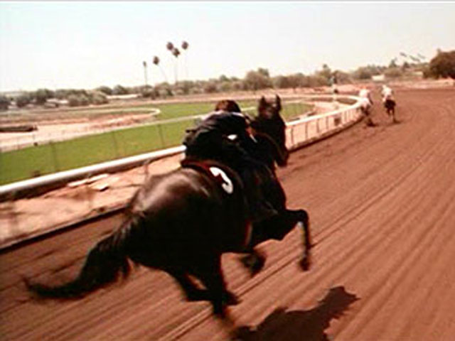 Alec corriendo en las pistas con su fantástico caballo El Corcel Negro (The Black)