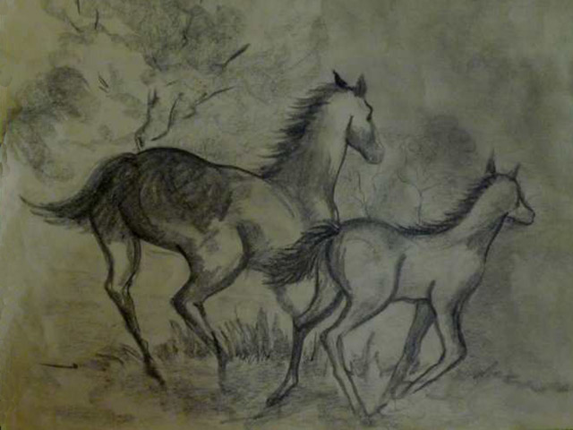 Dibujos de caballos.