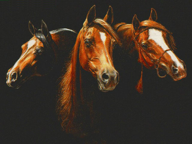 Pinturas de caballos.
