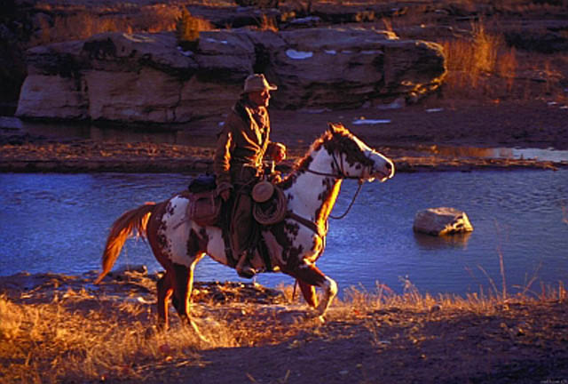 El caballo Hidalgo mustang norteamericano participando de la carrera de 3000 millas Oceanos de Fuego en Arabia
Foto 7 de 123  < Anterior  Siguiente >