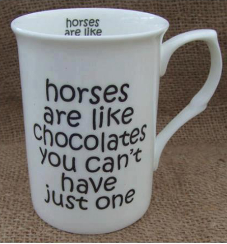 Los caballos son como los chocolates no puedes tener solo uno