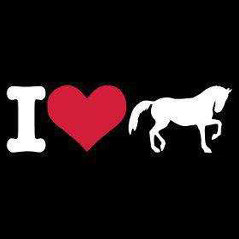 Yo amo los caballos