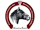 AFECC Association Francaise des Eleveurs des Chevaux Criollos