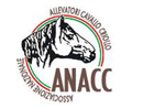 ANACC Associazione Nazionale Allevatori Cavallo Criollo