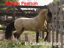 MARCOS PEARSON - EL CABALLO DEL PAIS (decimas)