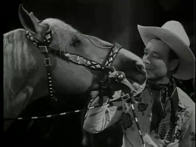 Trigger the Roy Rogers horse